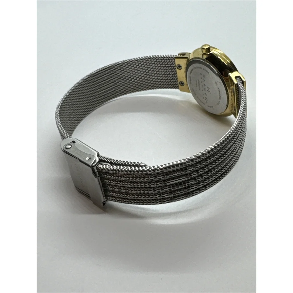 Skagen 355SGSS Women Silver Stainless Steel Mesh Analog Dial Wrist Watch JNA886